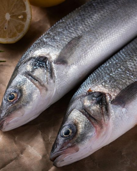Branzino al sale