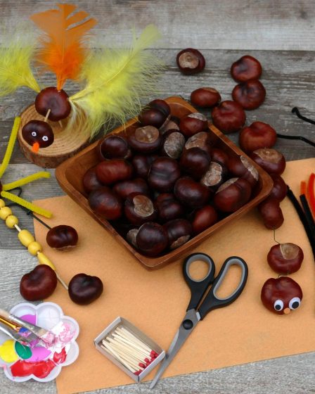 Castagne del prete