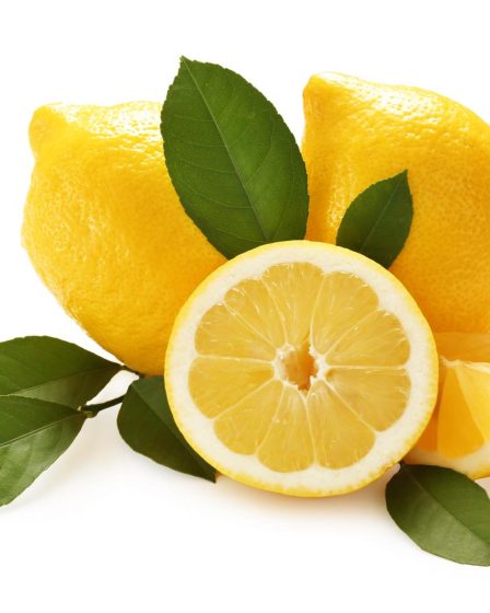 Citronette