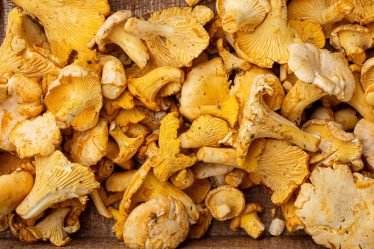 Funghi al forno