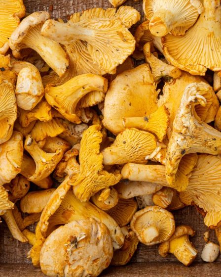 Funghi al forno