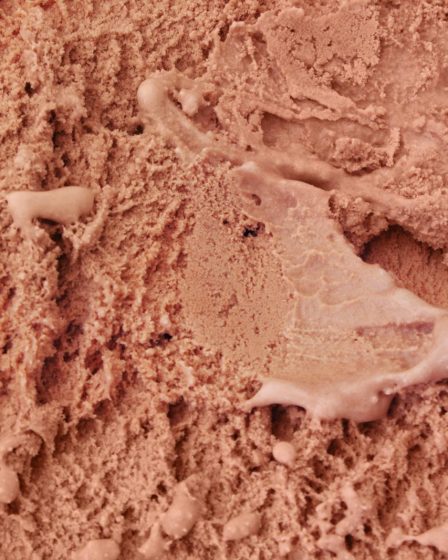 Gelato proteico