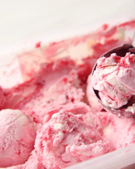 Gelato senza lattosio