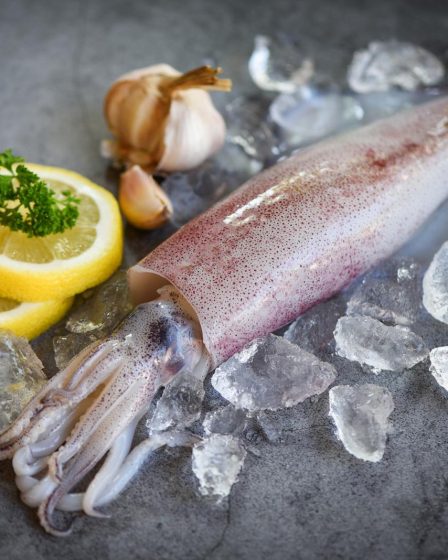 Insalata di calamari
