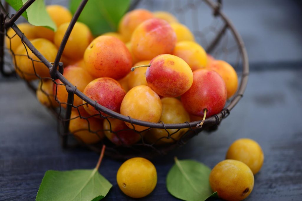 Marmellata di prugne