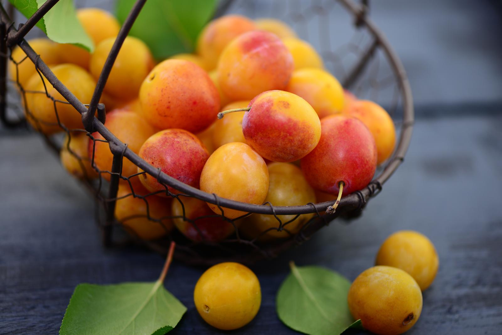 Marmellata di prugne