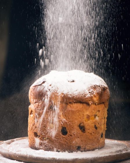 Panettone al cioccolato