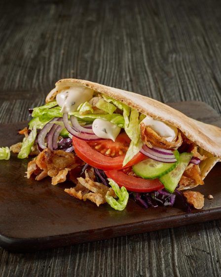 Panino kebab