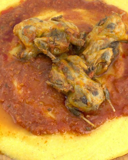 Polenta e osei