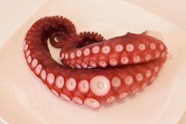 Polpo in pentola a pressione