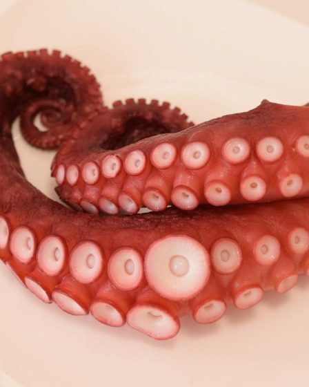 Polpo in pentola a pressione