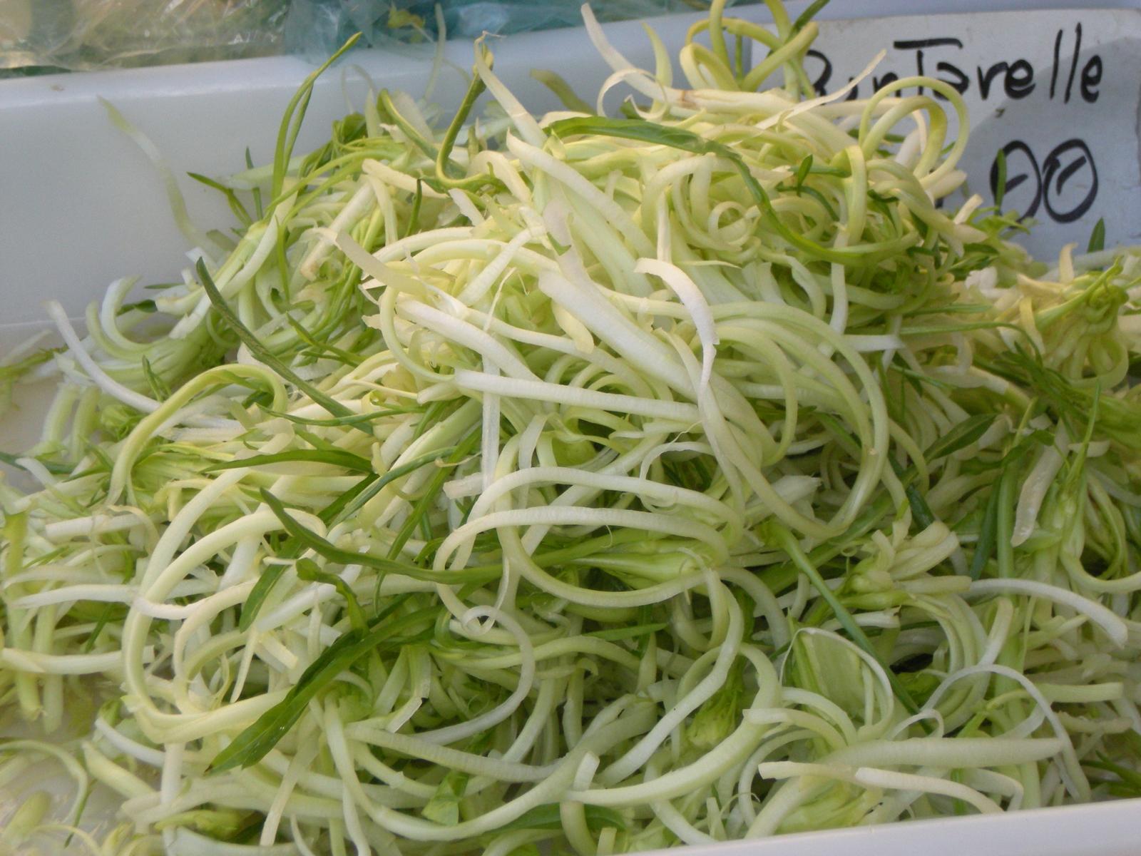 Puntarelle alla romana