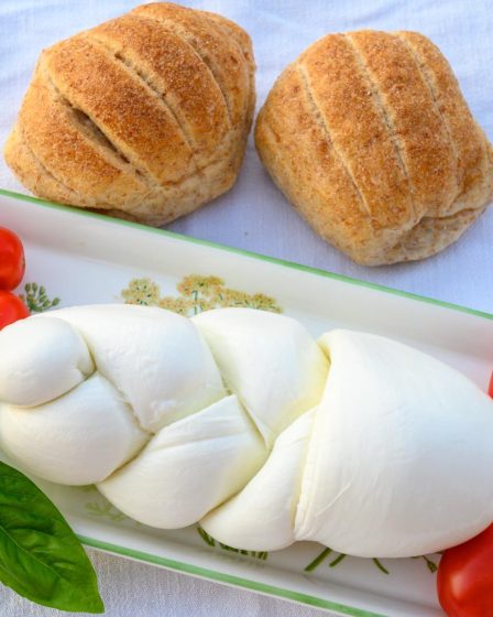 Rotolo di mozzarella