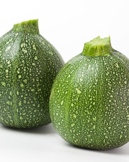 Zucchine ripiene velocissime